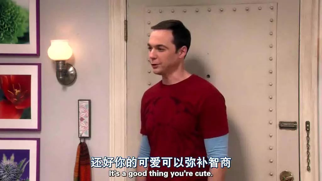 最优选择算法找对象,情侣适合的数学公式