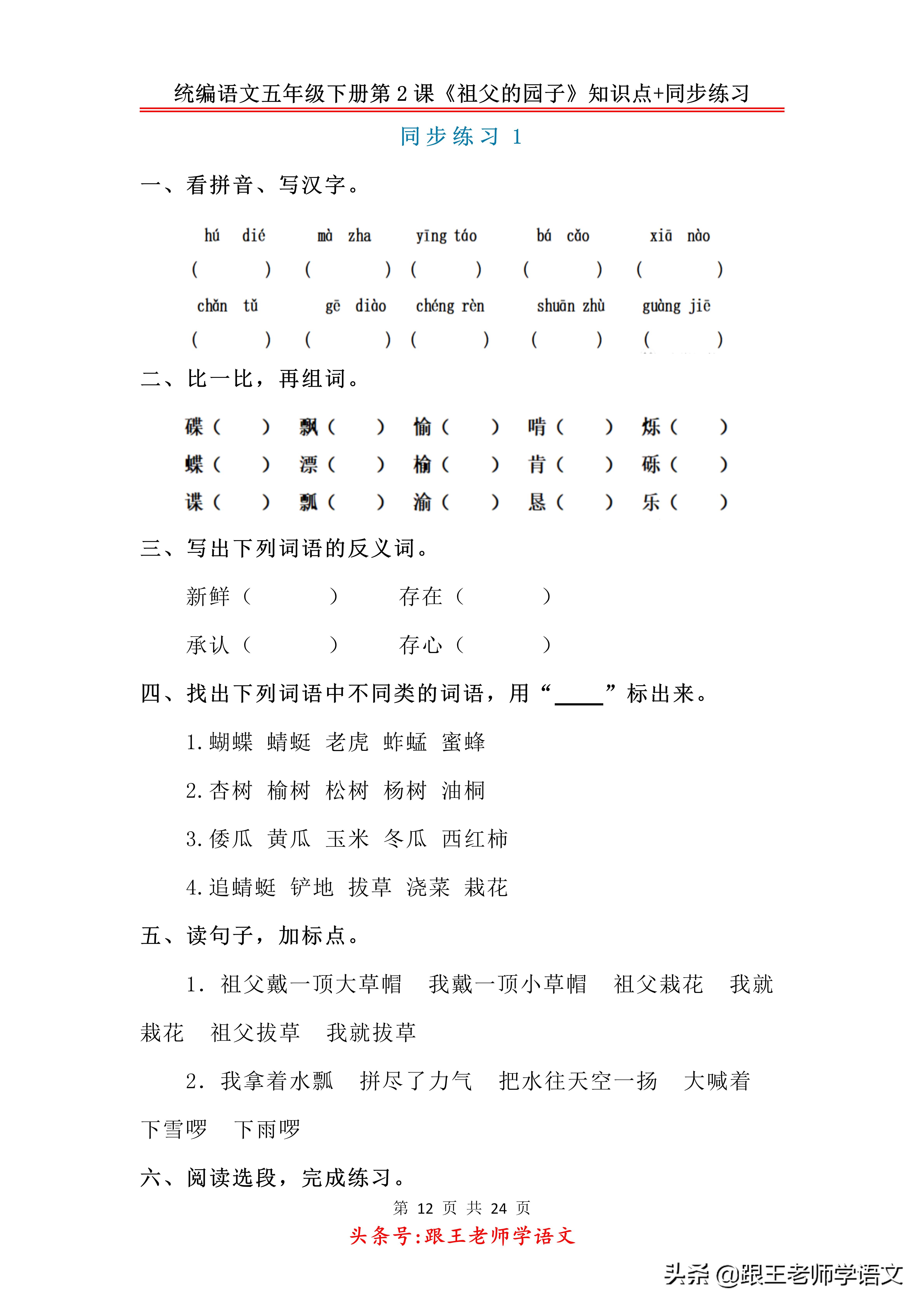 五下语文书祖父的园子预习笔记,五年级下册祖父的园子的好词好句
