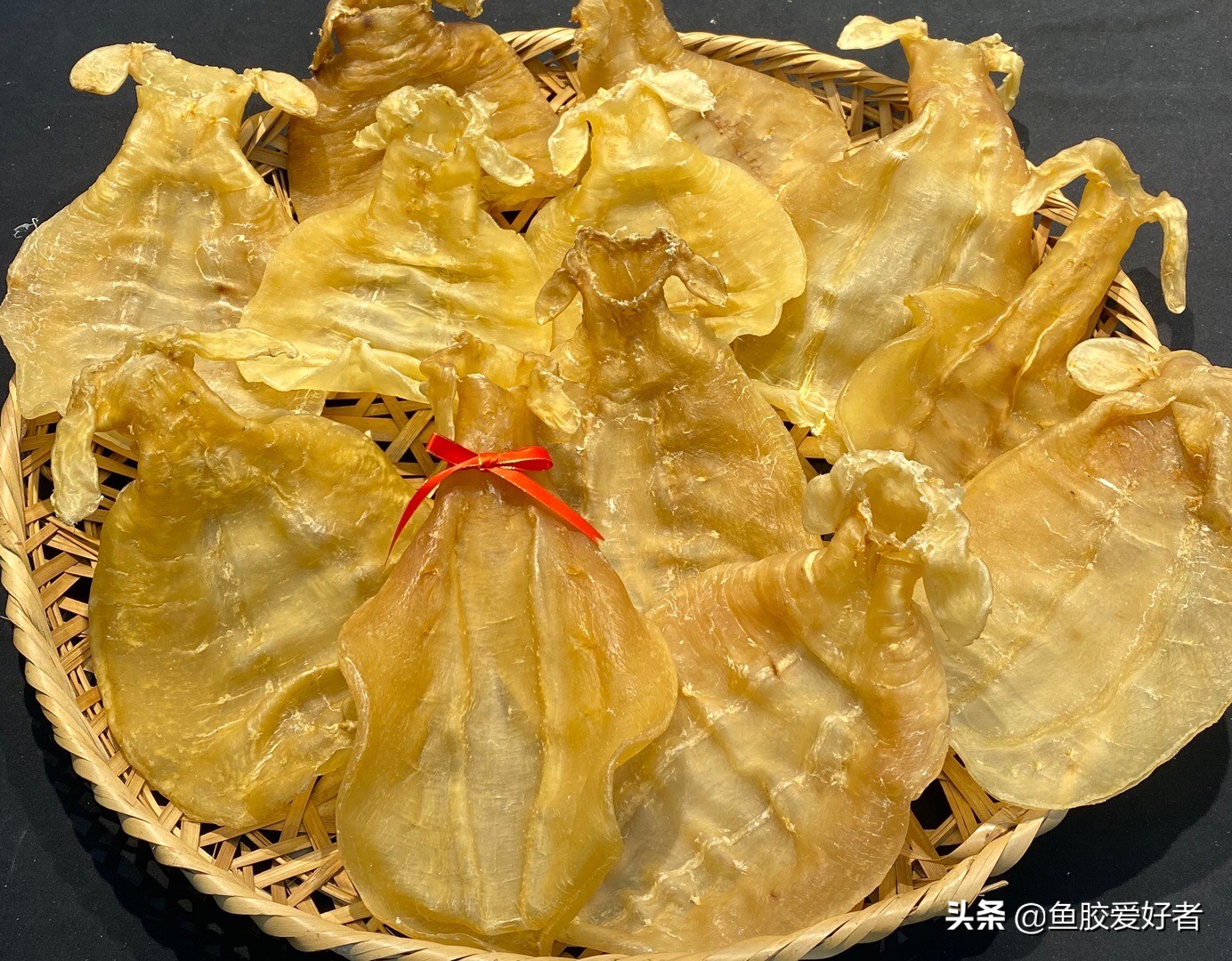 鳘鱼胶有哪些品种,赤嘴鱼胶哪个品种比较补血