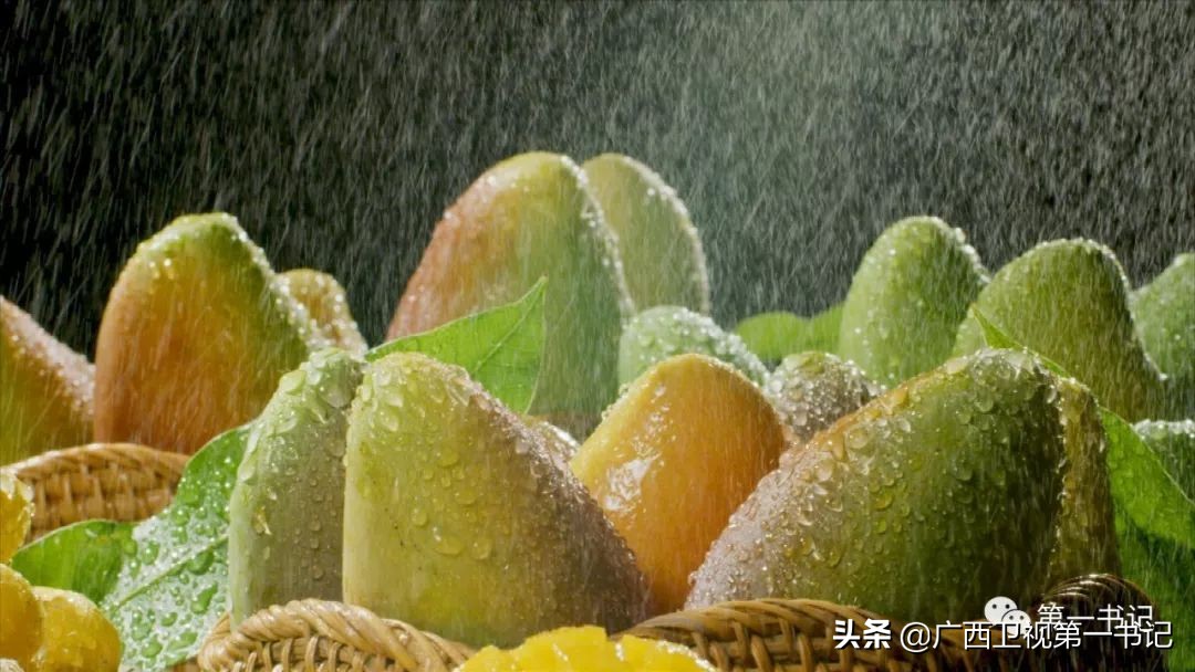 右江河畔好风光,百色右江河畔