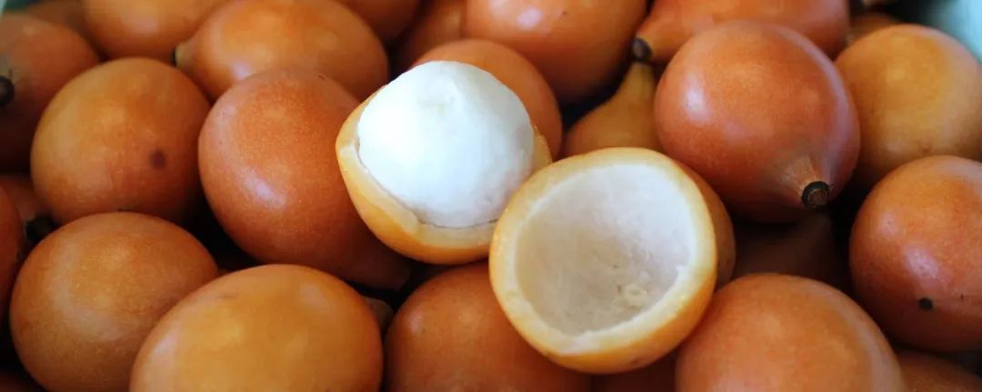 澳洲水果的营养价值,澳洲必吃的10种水果