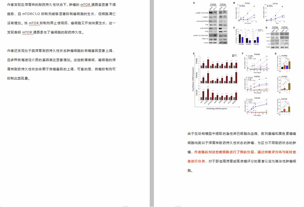 科研必杀技高效阅读和整理文献,如何有效提取文献中的重要信息
