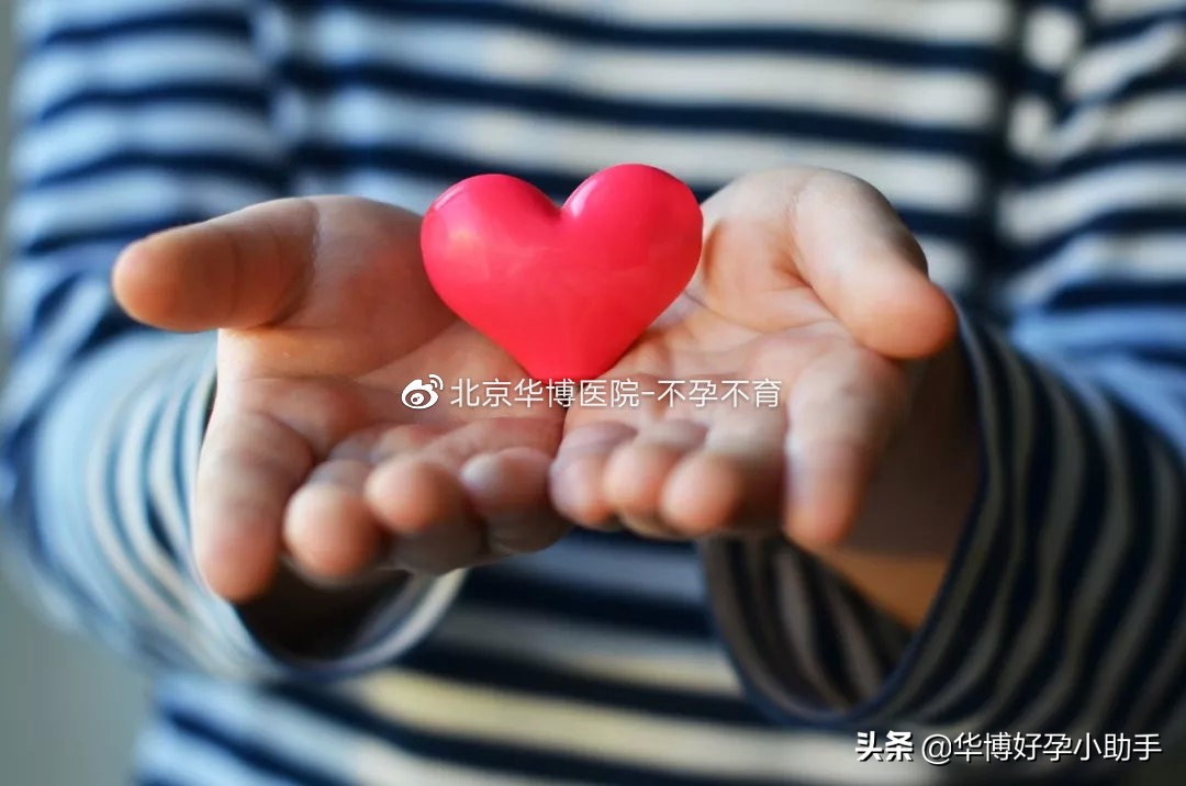 夏季备孕运动,夏季备孕男女煲什么汤