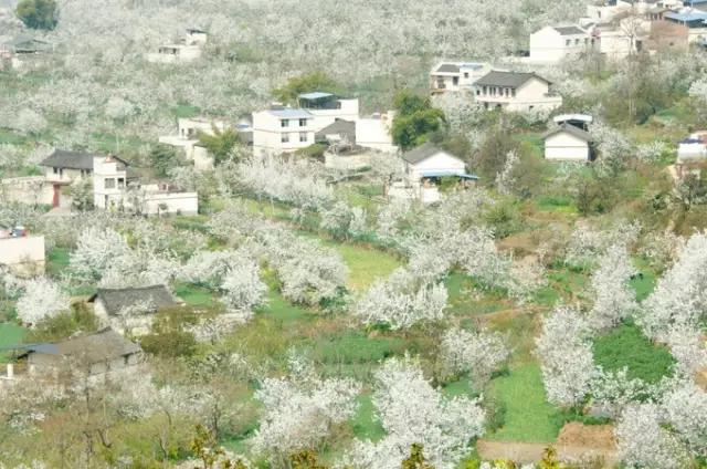 雅安旅行攻略亲子游,雅安市旅行攻略自由行路线