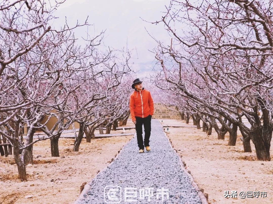 呼和浩特的人文风光图片,呼和浩特古代风景