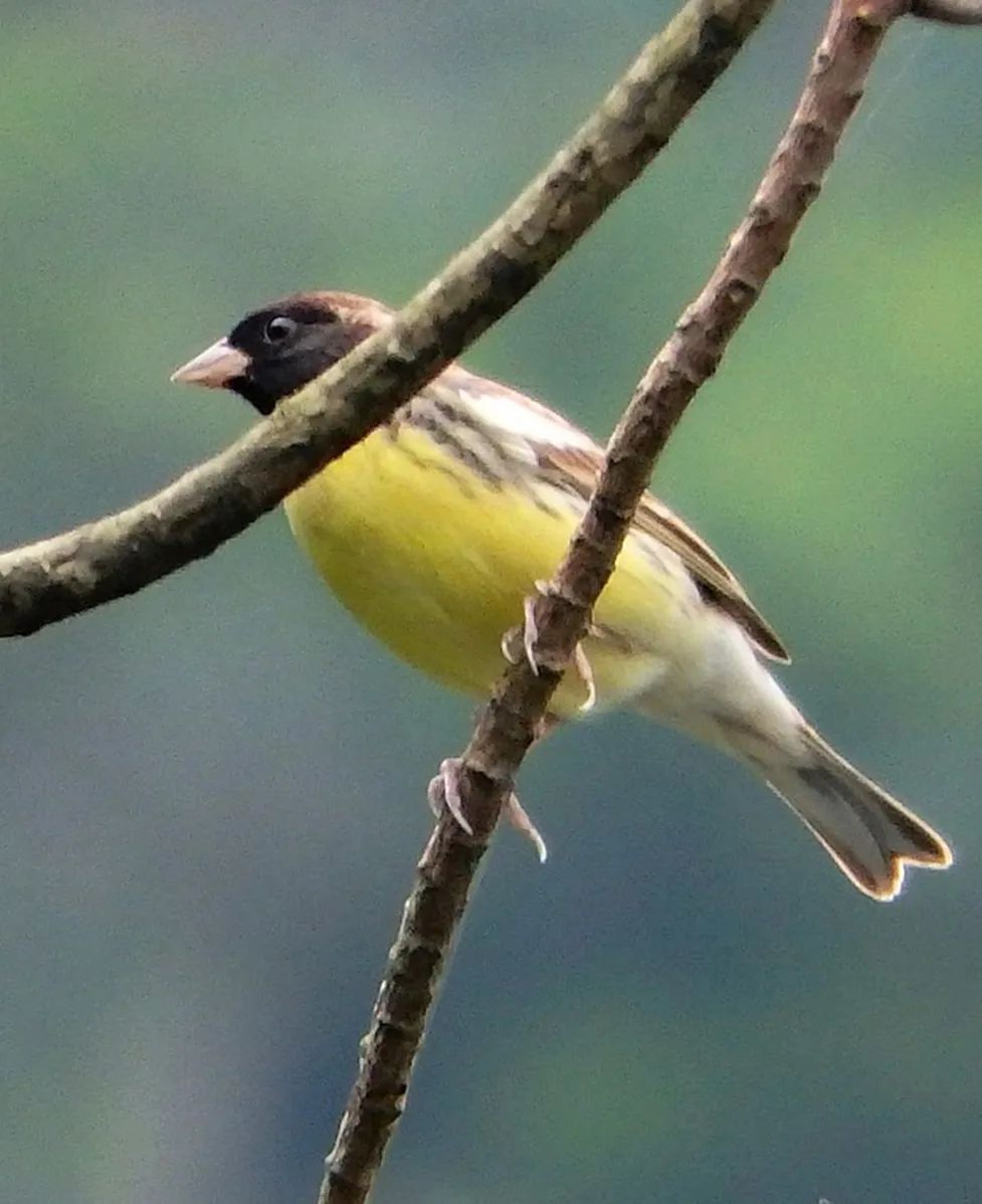 它是蓝颜祸水还是蓝颜薄命,都与你我有关