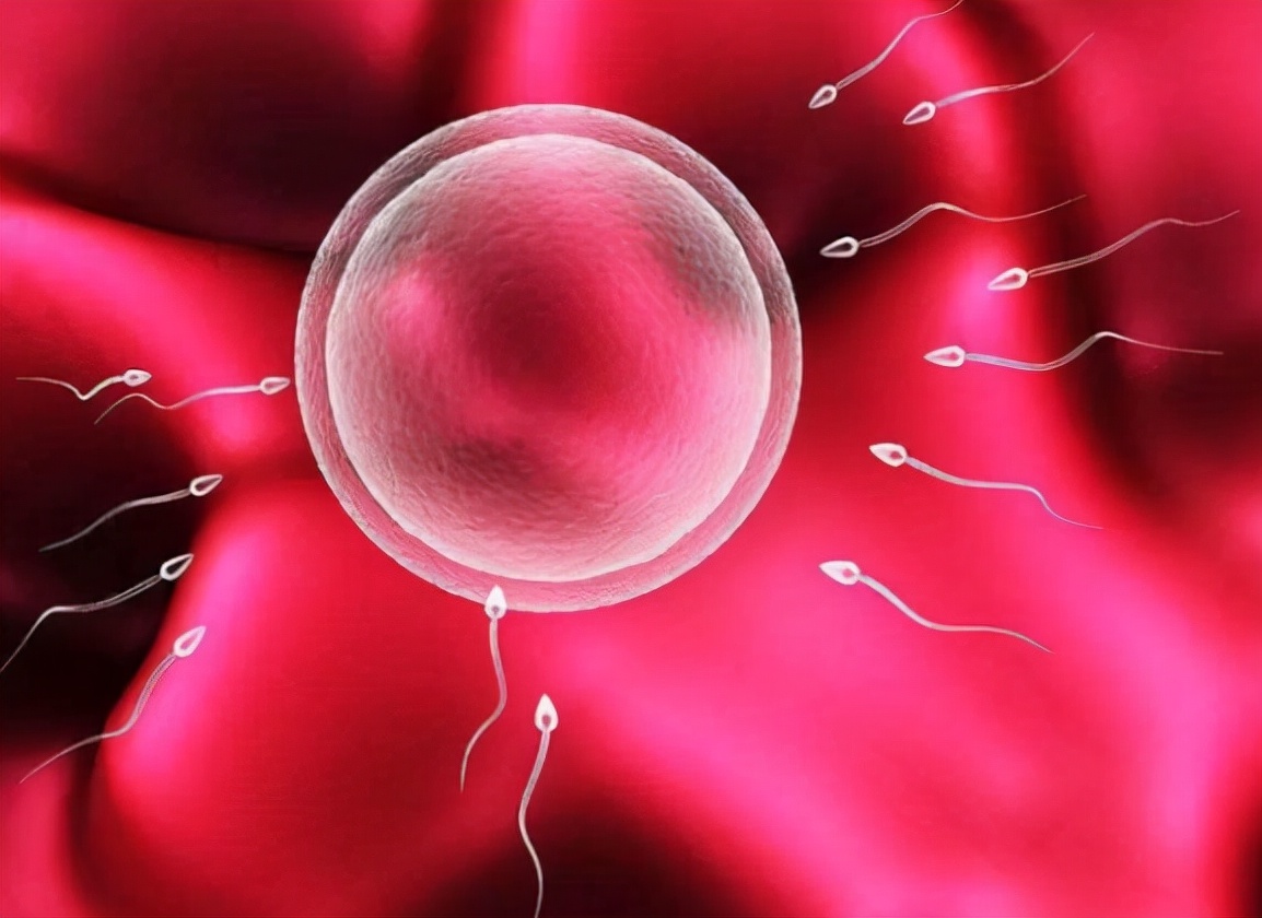 男人能闻到老婆身上的异味,女性在排卵期有什么感觉