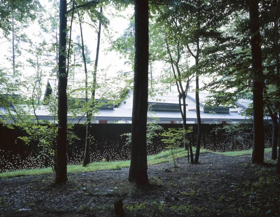 农村小院围墙设计花式围墙,围墙的设计效果图大全集