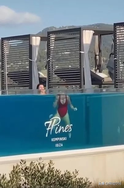 大长腿考拉，关系混乱的水果们……分享十个你不知道的冷知识