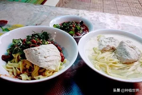 閬典箟鍗佸ぇ鐗硅壊缇庨,璐靛窞閬典箟鍗佸ぇ鐗硅壊缇庨