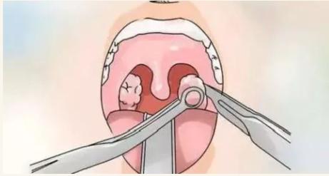 生活冷知识,生活冷知识短视频大全最新