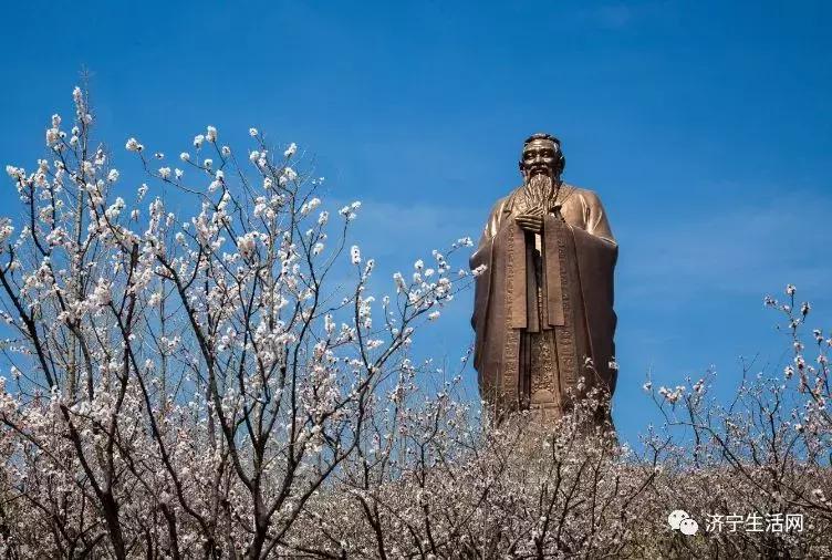 市长发话，济宁发布重大利好消息！惠及济宁800万人！