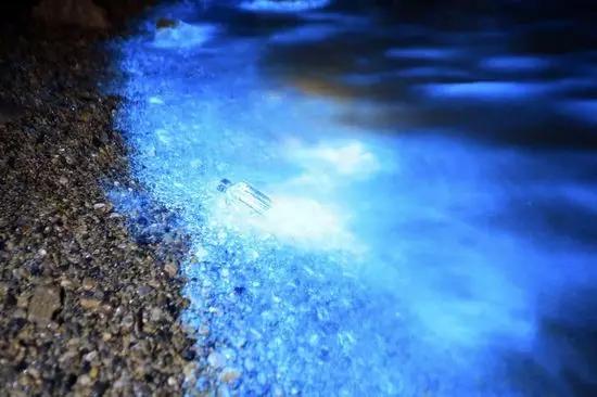 大连春节网红打卡景点,大连旅游攻略必去景点