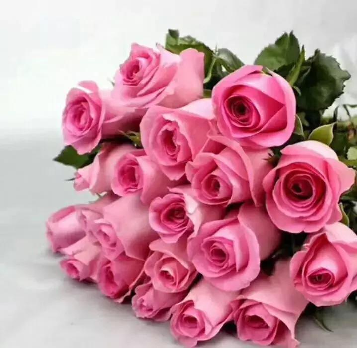 玫瑰鲜花养护方法和时间,玫瑰花束怎么养护延长花期呢