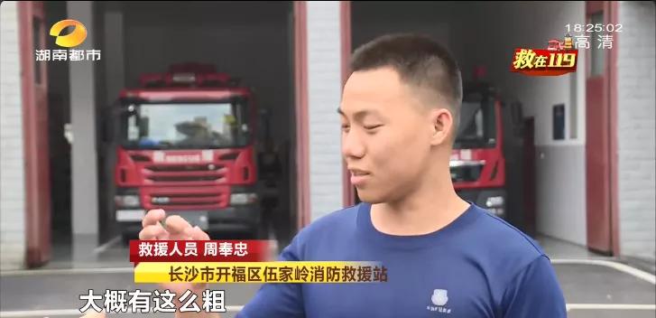 常年在垃圾桶旁边的蛇,垃圾桶里面有一条大蟒蛇