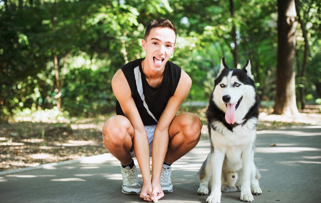 公认的无攻击性的6种狗你家有吗,什么狗忠诚攻击力高还可以养