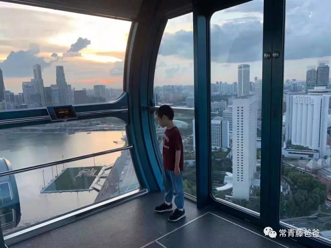 十一新加坡,新加坡5天4晚亲子游推荐哪家