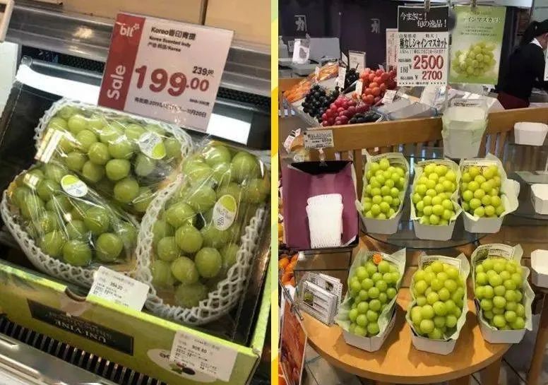 晴王跟阳光玫瑰口感味道都一样吗,日本晴王和阳光玫瑰的区别