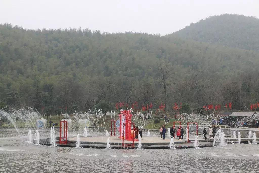 今天,我在宜兴竹海,过传统春节,沾福气满满!