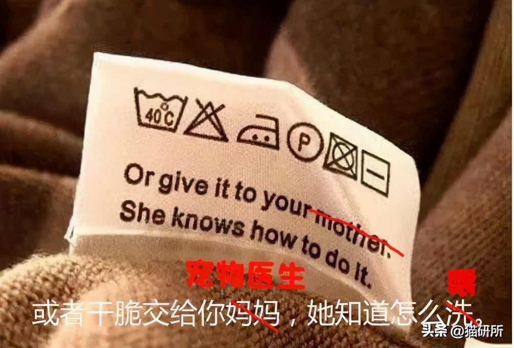 一学就会的喂药秘笈！轻松解决猫咪的吃药难题