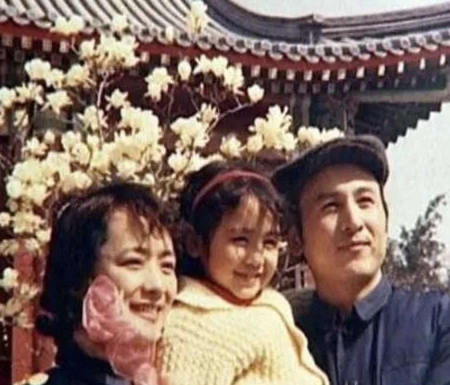 谢莉斯脑梗后怎么康复的,谢莉斯患脑梗过程