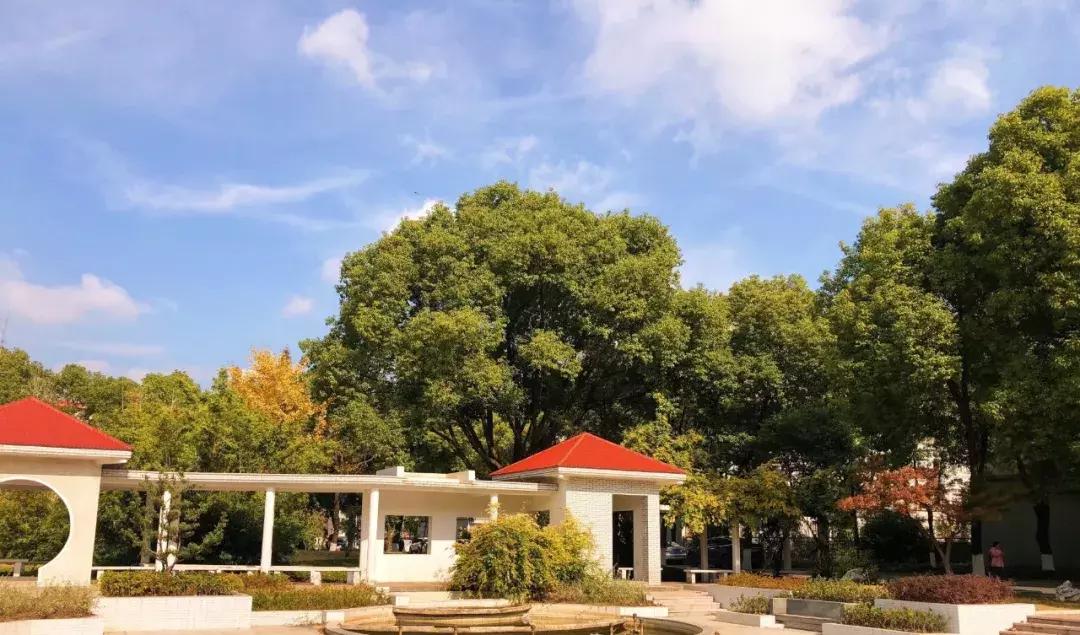 扬州大学2023年研究生招生简章,扬州大学硕士研究生学费