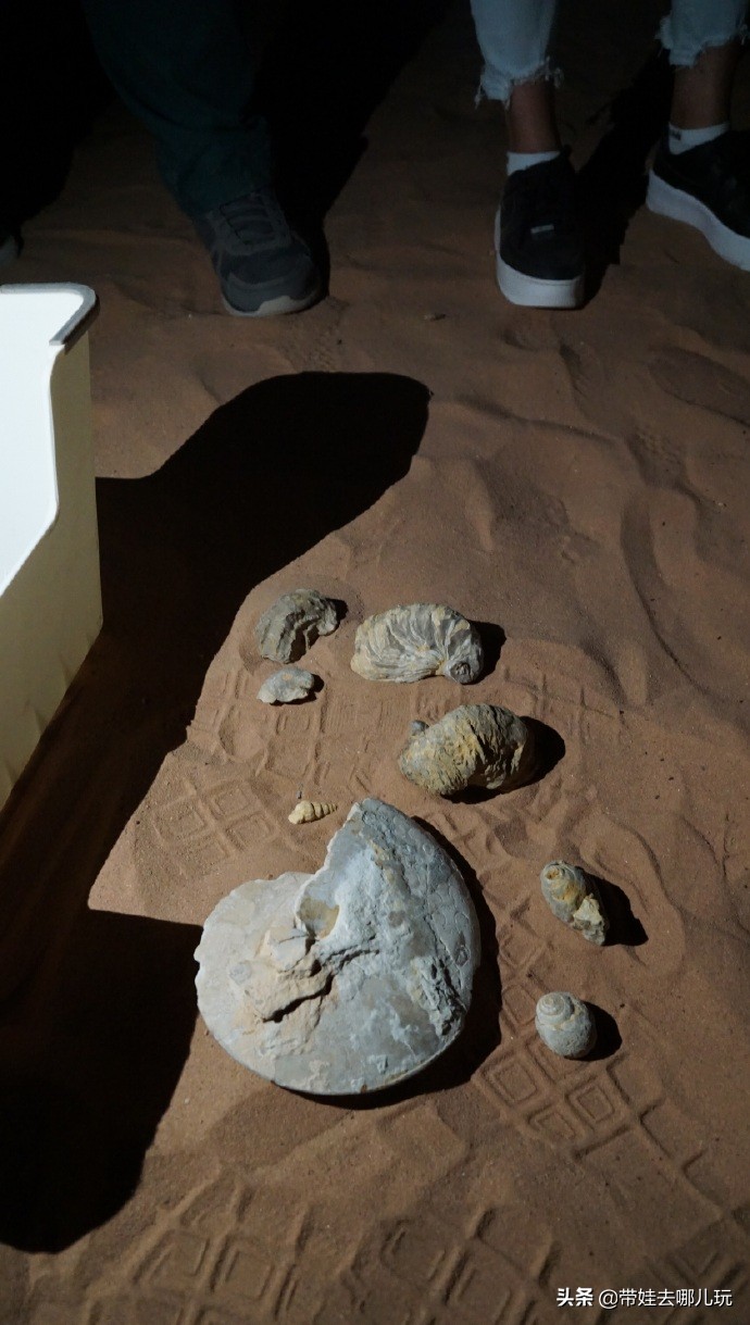 以色列约旦繁星之旅,约旦以色列之旅