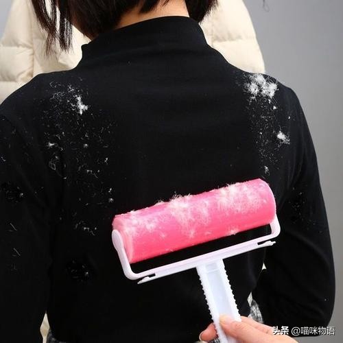 夏天猫毛狂掉怎样清理家中的猫毛,家里养猫咪猫毛满天飞怎么办