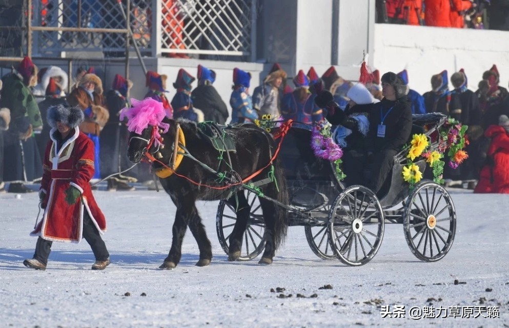 冬天的呼伦贝尔是这样的,今年呼伦贝尔的旅游