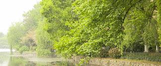 修脸面,乡村水污染治理