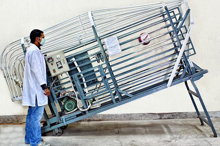 欧洲杯荷英半决赛明日开战,今天欧洲杯足球赛程表