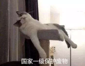 暑假减肥逆袭变白变瘦,大学生一周减肥暴瘦