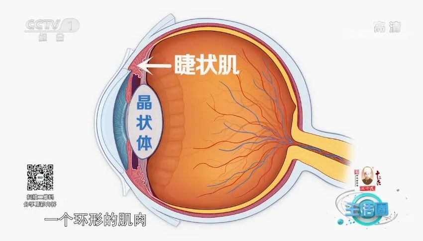 看手机时间长了头晕恶心解决方法,低头看手机头晕恶心怎么回事