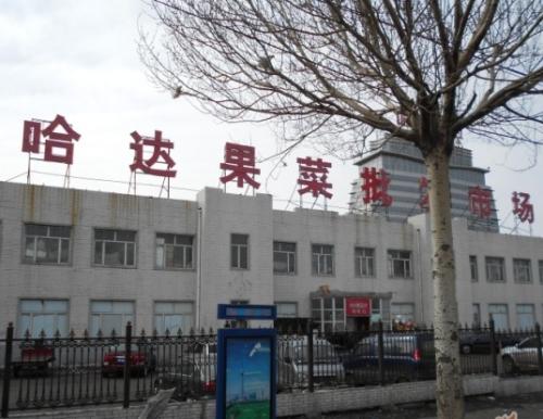 哈尔滨最大的水果批发市场在哪里,哈尔滨最大的果蔬批发市场在哪里
