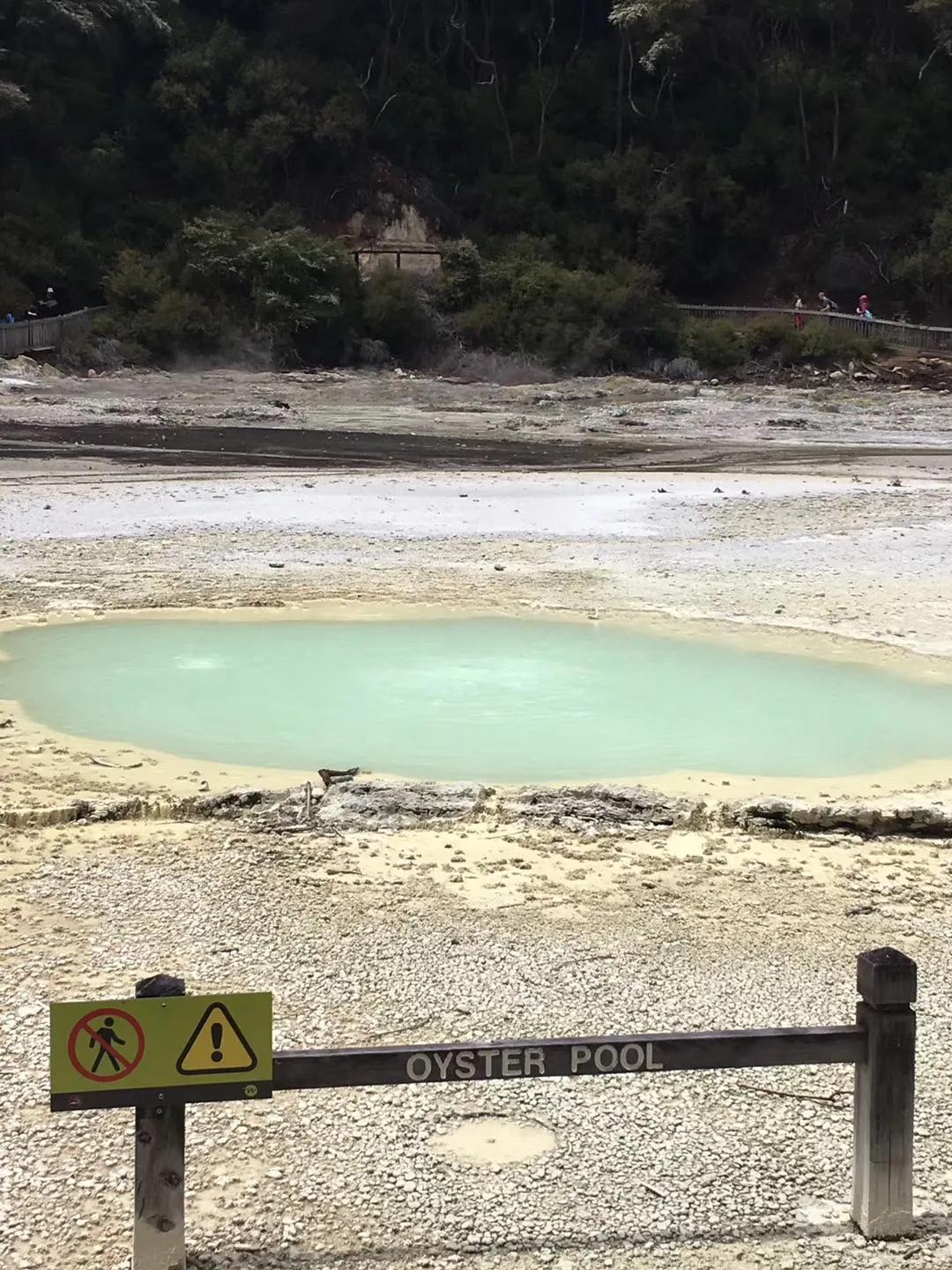 记忆中的旅行之新西兰（北岛）