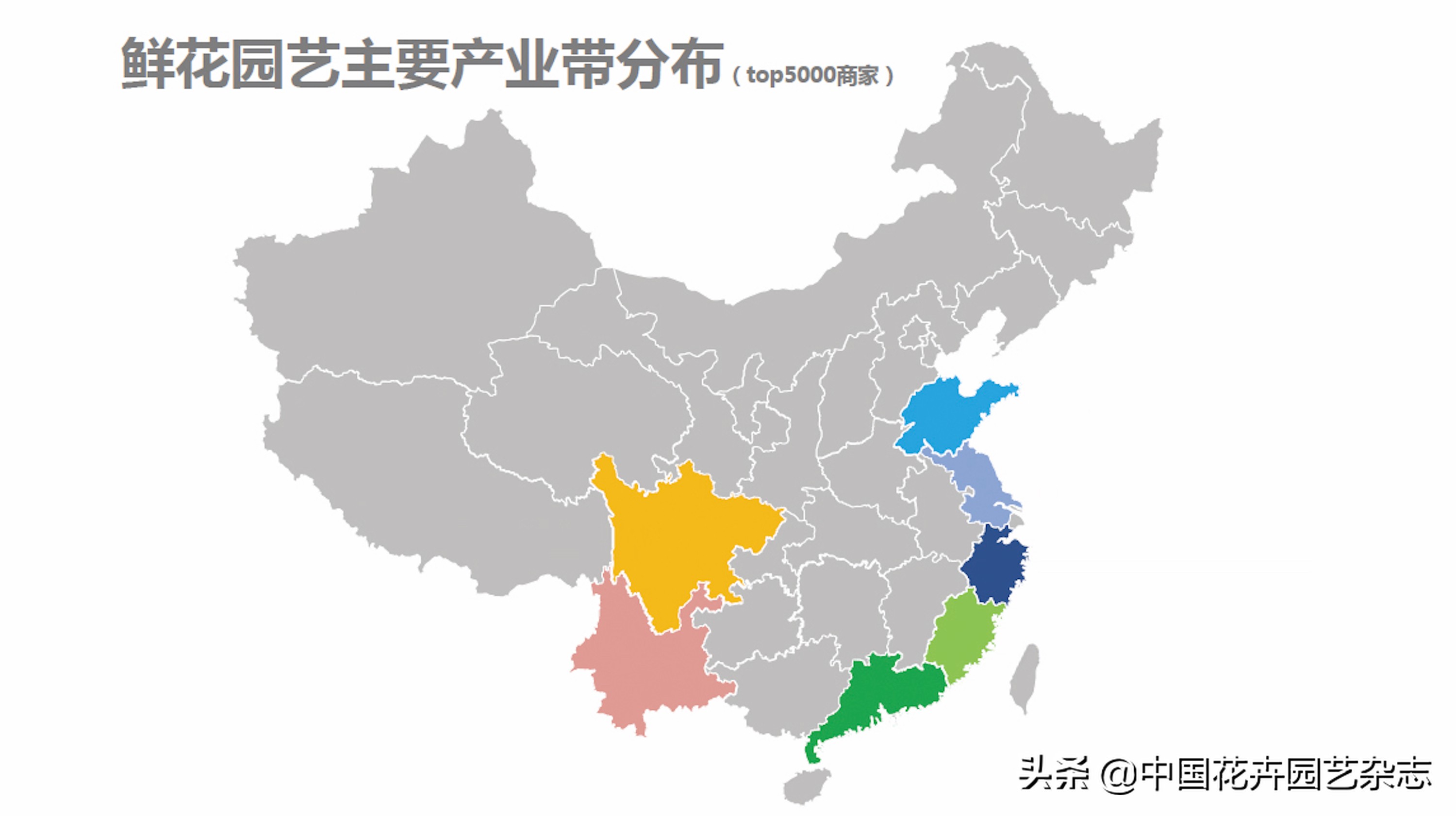 传统电商平台:不变的是一直在变|《中国花卉园艺》2020年7期专题