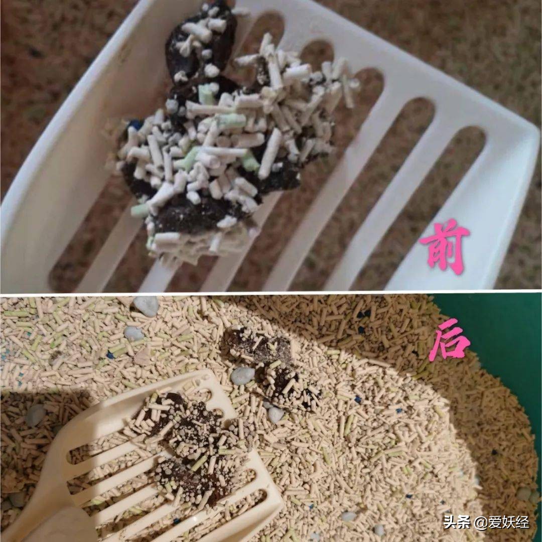 软便精有救了？干了这碗粮，养胃又护肠