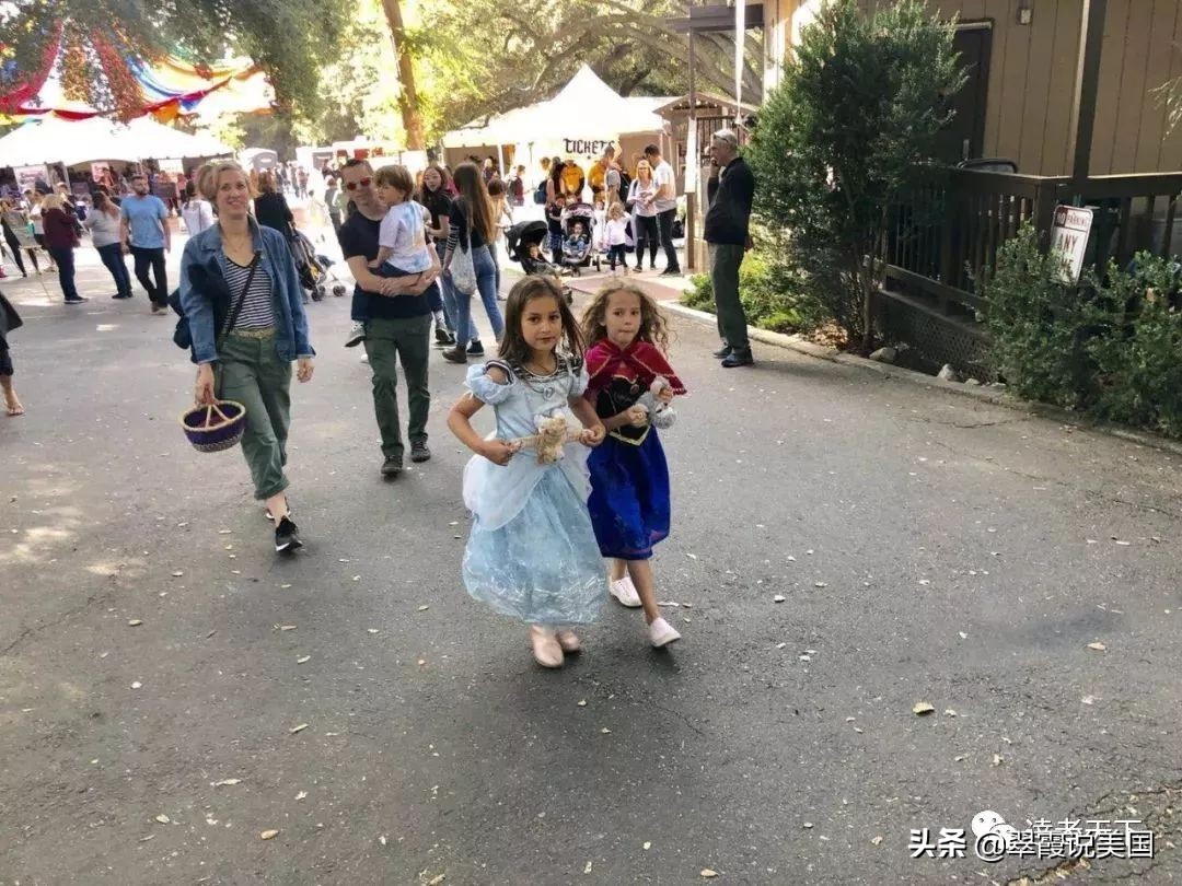 翠霞湖州,翠霞带你走进美国名校