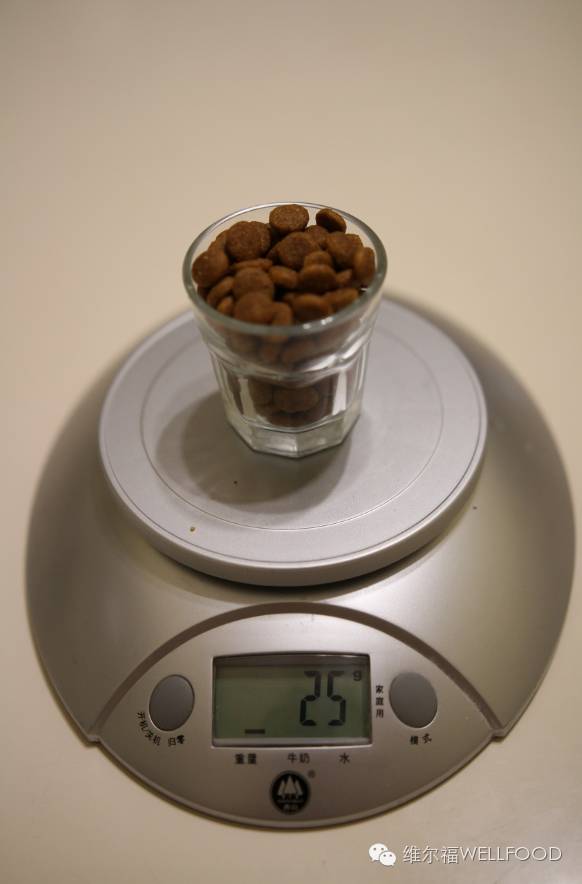 宠物狗粮该吃多少量合适,宠物营养狗粮怎么喂比较好