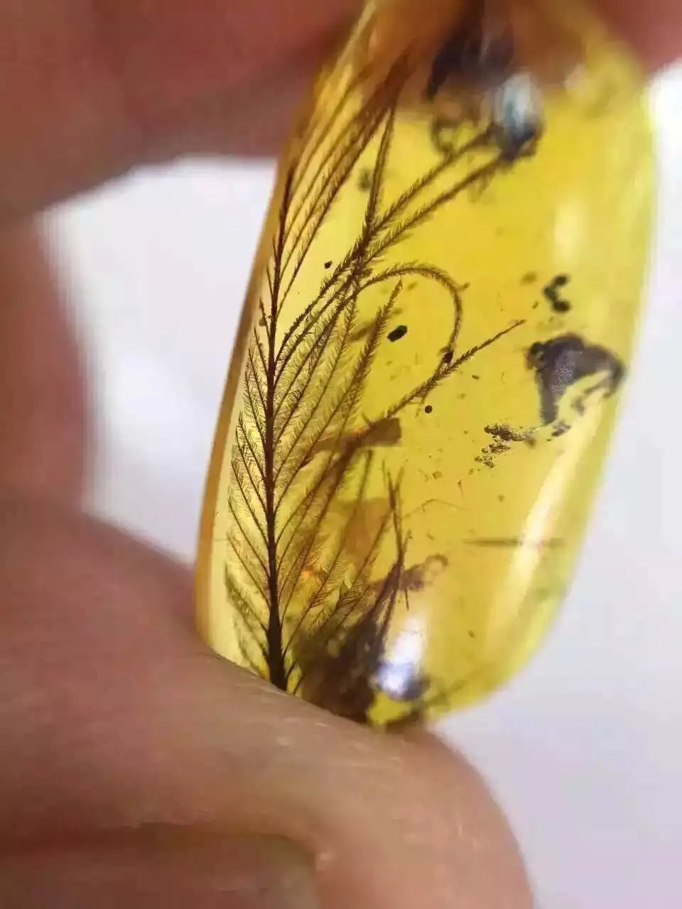 昆明市石博会翡翠展,昆明石博会翡翠展销会