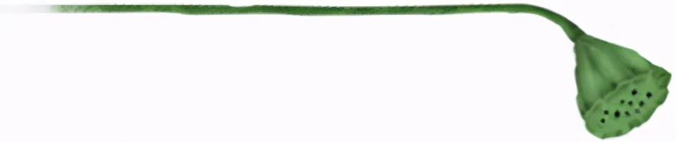 新品上市丨请用这一口酸爽叫醒我