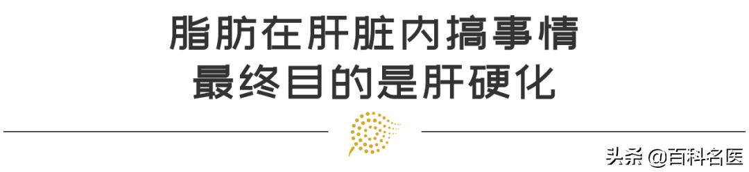 脂肪性肝炎需要注意什么,世界肝炎日肝炎你了解吗