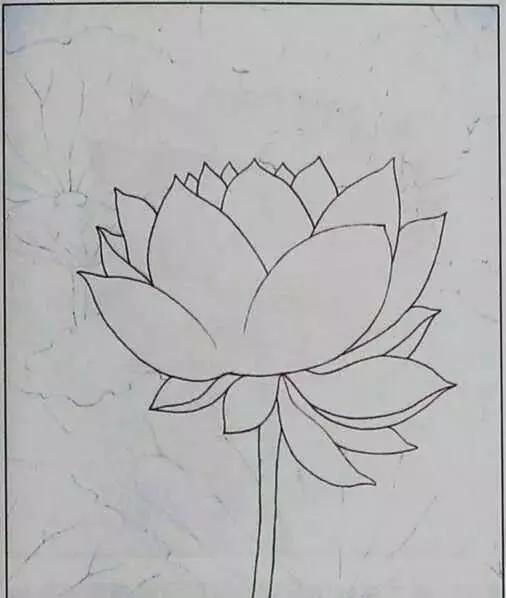 画荷塘与荷花,画一张美丽的荷塘画