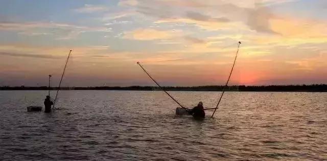 巡塘怎么发现鱼有病变,巡塘时偶尔发现死虾正常吗