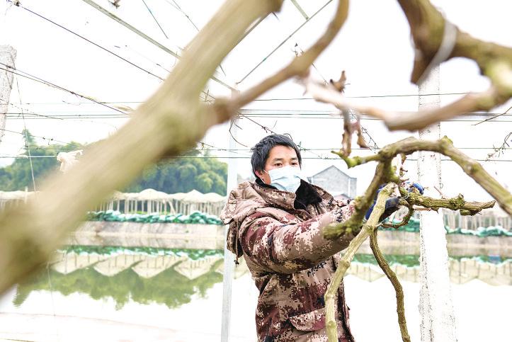 2018年开州区郭家镇的新农村建设,开州郭家镇乡村振兴