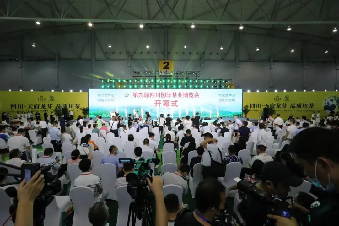 中国茶叶2021年2月出口情况,中国茶叶出口均价排名前十