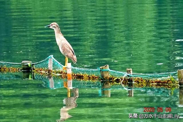 杭州不为人知的世外桃源,杭州幽静的去处