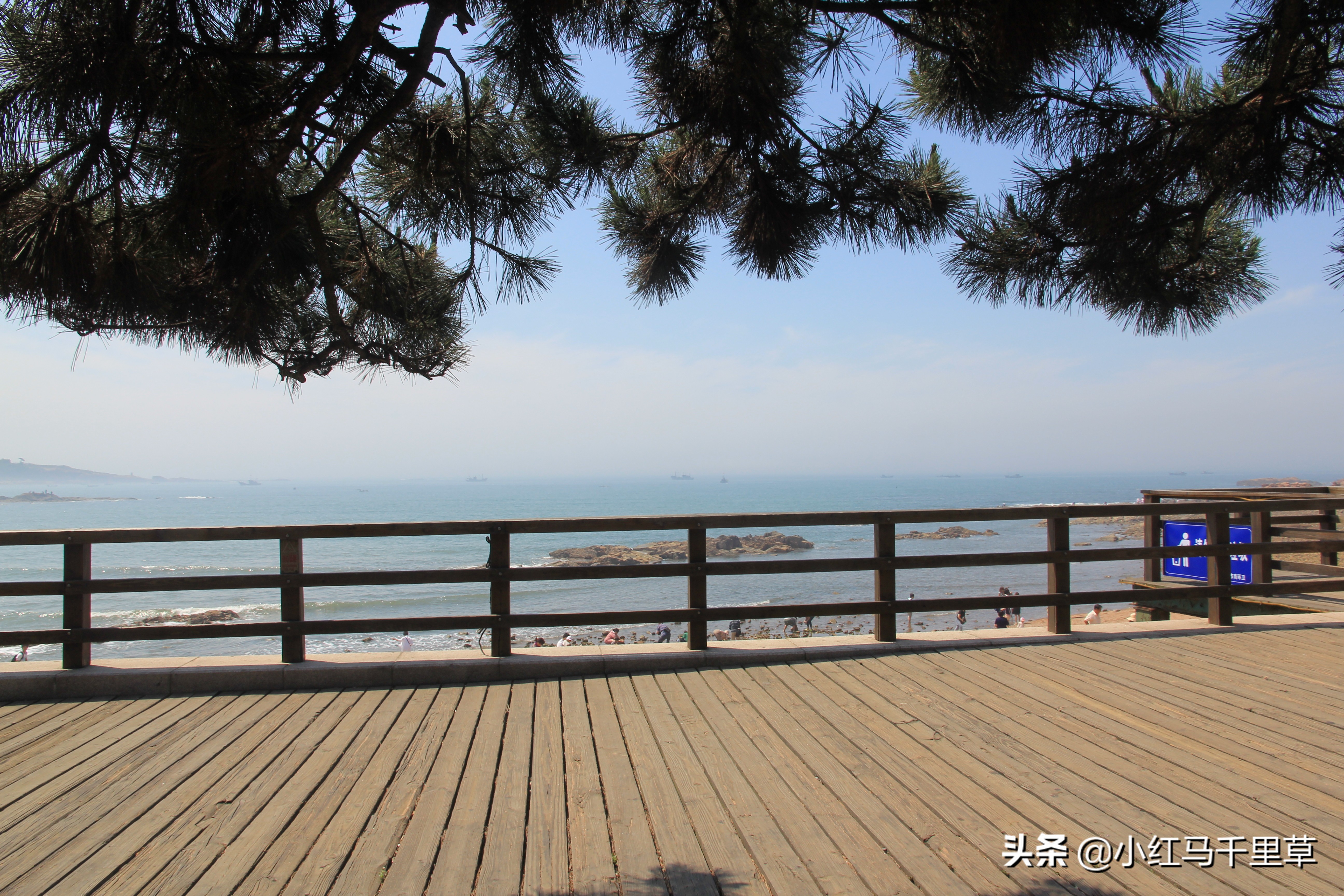 好客山东青岛旅游攻略,好客山东浪漫青岛