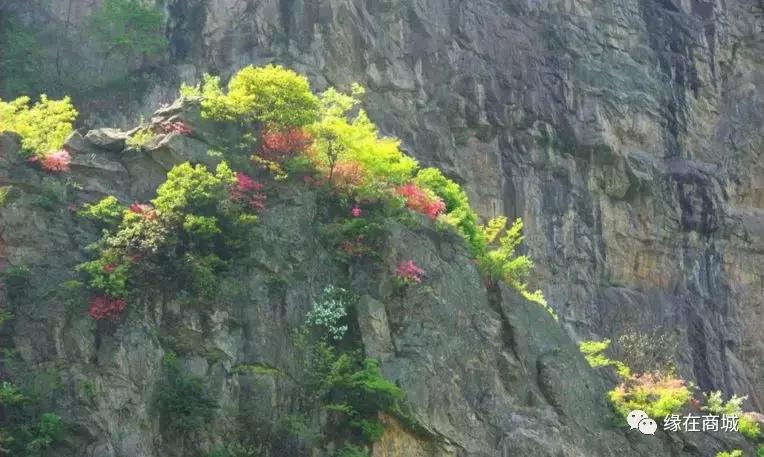 「品读」我的前男网友——以后真的不单独见面吗?/江河之王