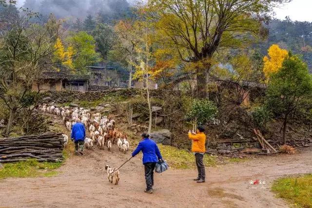 湖北钟祥：中国唯一人口守恒村？生一人死一人，百年未变！
